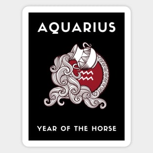 AQUARIUS / Year of the HORSE Magnet